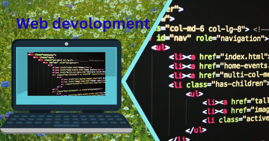 Web development